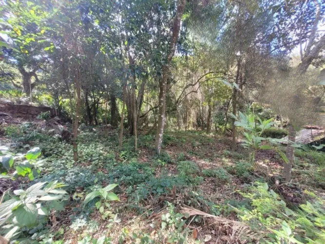 Lote para Venda em Petrópolis, Itaipava