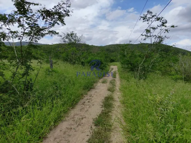 Fazenda,1.013 ha Zona Rural de Jequié, - R$ 8 mi cod.68942