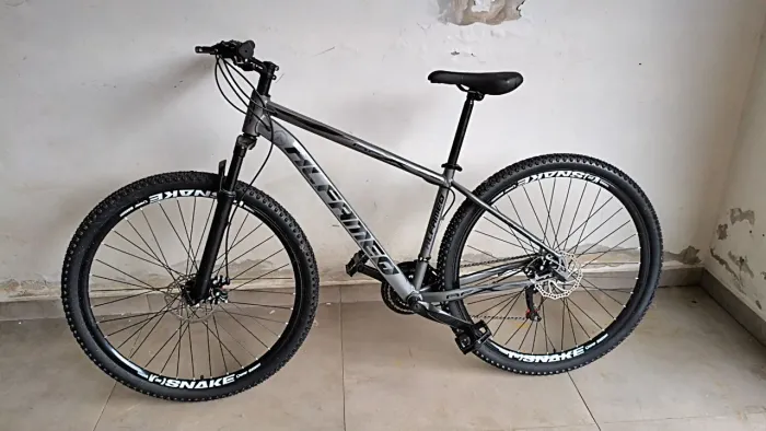 Bicicleta