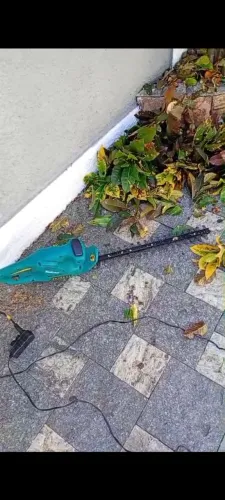 Limpeza de jardim terreno poda