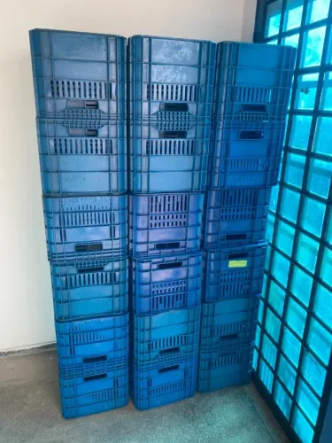 CAIXAS DE SUPERMERCADO