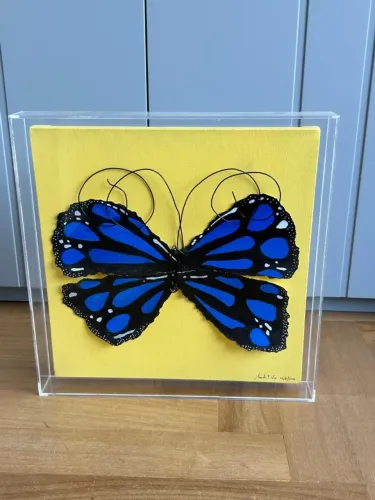 Quadro Borboleta Azul em Caixa de Acrílico por Marcela Taquette
