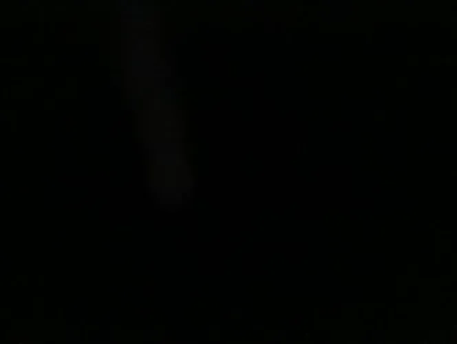 Contrata-se atendente