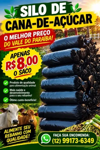 SILO DE CANA DE AÇÚCAR