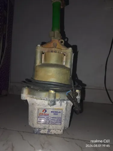 Bomba sapo