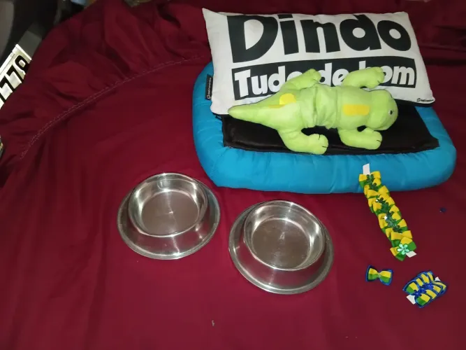 Kit completo pet