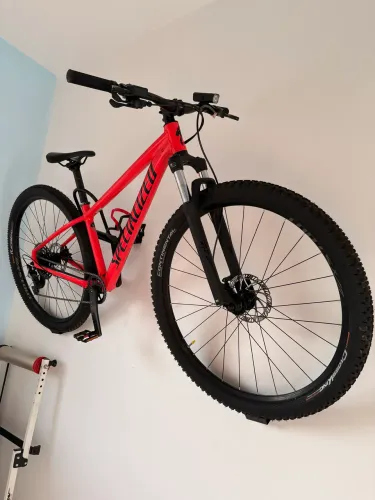 Bike specialized aro 29