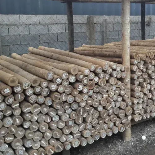 EUCALIPTO TRATADO DE 8 A 10 NA PROMOÇÃO APENAS 24,99