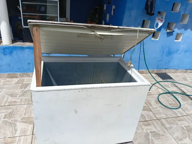 Freezer Electrolux