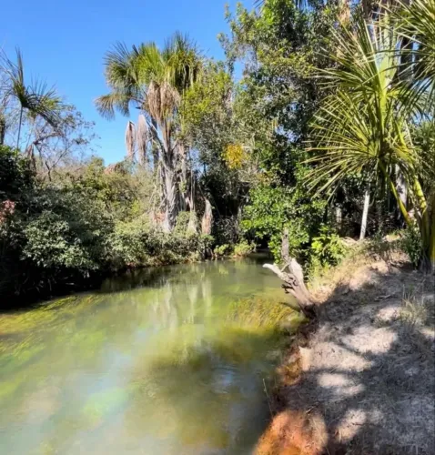 Vendo 2,0 hectares beira córrego formoso - Buritizeiro Mg