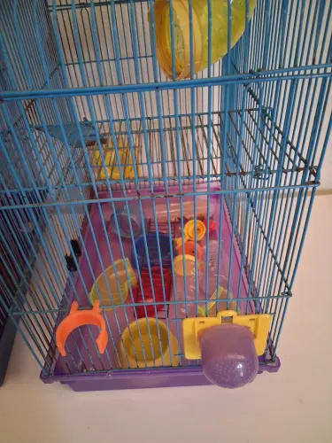 Gaiola de hamster 