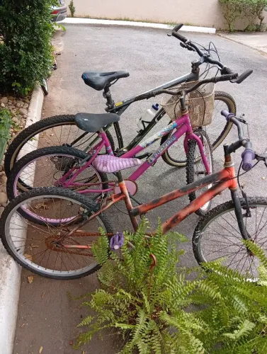 Bicicletas 