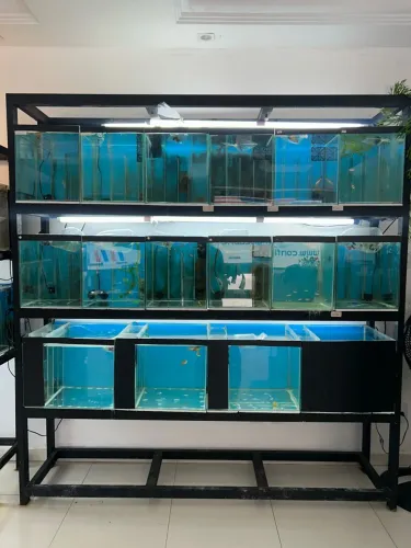 Estante de ferro com 16 aquários de 30 litros