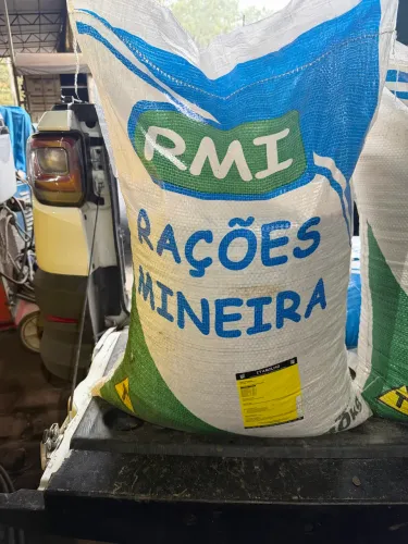 Milho para galinhas