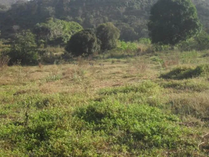 Jaboticatubas. Linda Chácara em Baldim de 21mil m² * Zap Guilherme