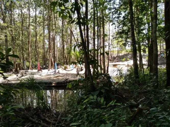 Moura gestor Imobiliário-Vende 1 Belíssima Chacara 37ha Documentada em Vigia de Nazaré