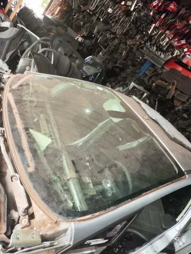 Parablisa New fiesta