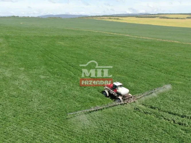Fazenda 90.5 alqueires (438 hectares) - Água Fria - GO