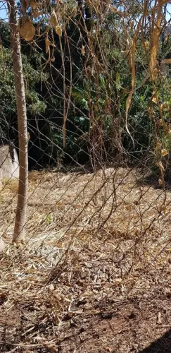 Terreno à venda com 319 m² no Jardim Sorirama (Sousas), Campinas