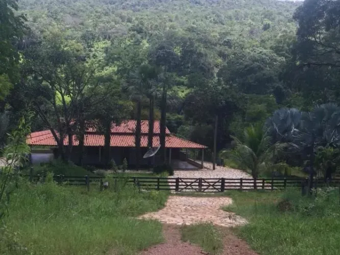 Fazendinha 14 alqueires