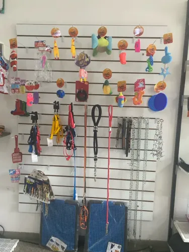 Expositores e Prateleiras para Pet Shop
