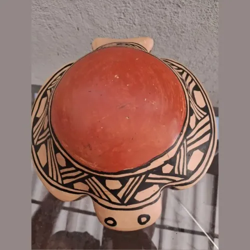 Tartaruga de Decoração
