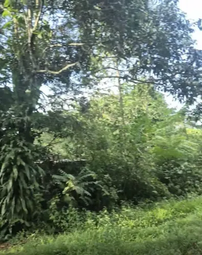 TERRENO NO CORAÇÃO DE OUTEIRO 
