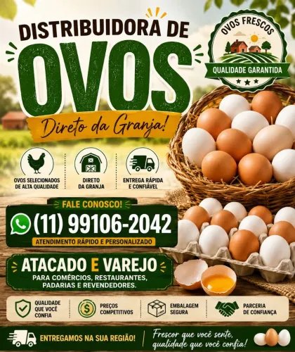 Ovos direto da granja 