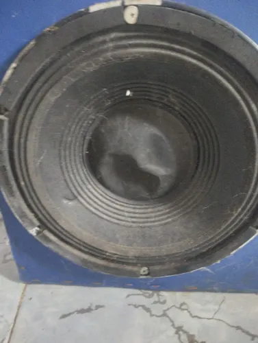 Auto falante 12 polegadas 600rms