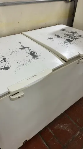 Freezer 385 L
