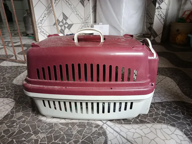 Caixa de transporte para cachorro e gato 