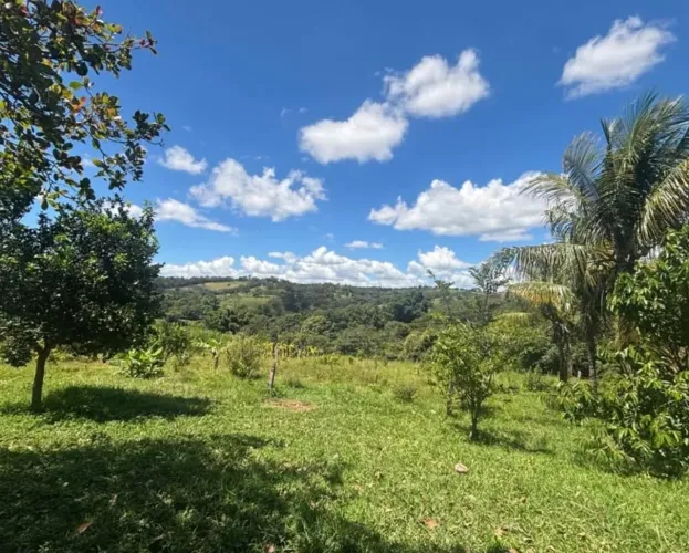 Fazenda em pires belo ? Goiás