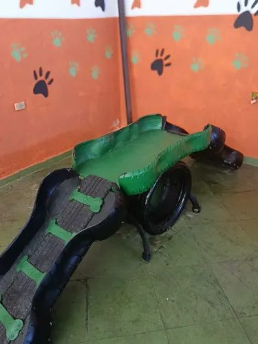Rampa agility para cachorro