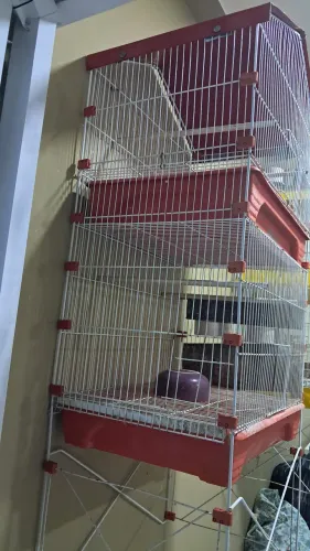 Viveiro duplo para pássaros