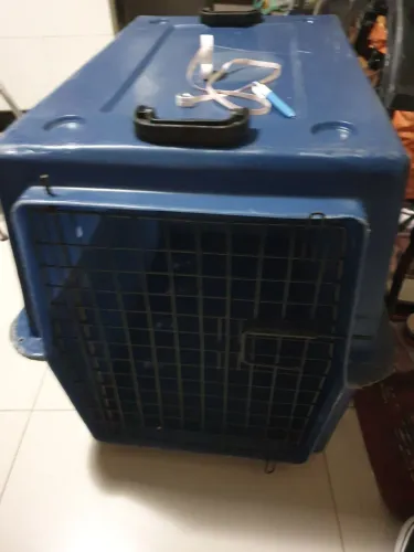 caixa de transporte pet GG