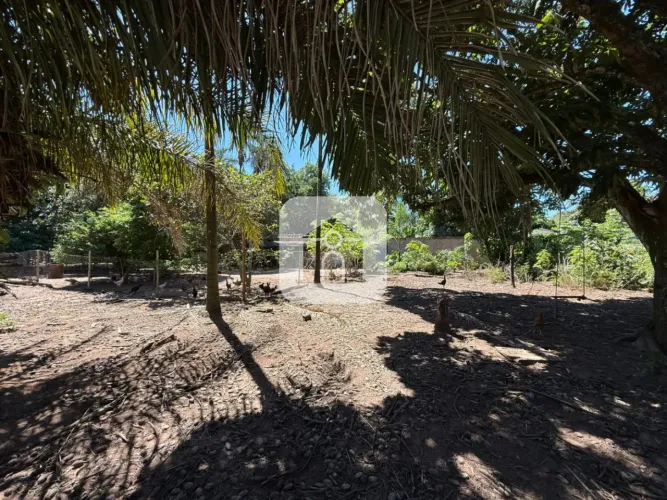 Terreno Comercial para venda no bairro Jardim Cannã