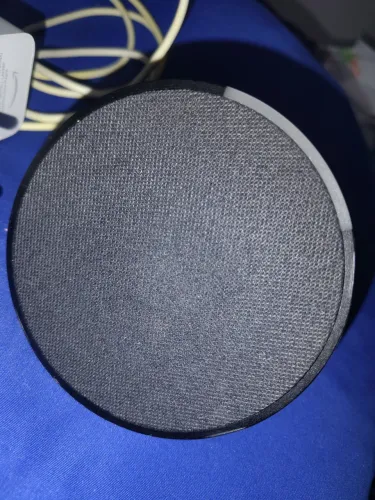 Alexa echo-pop