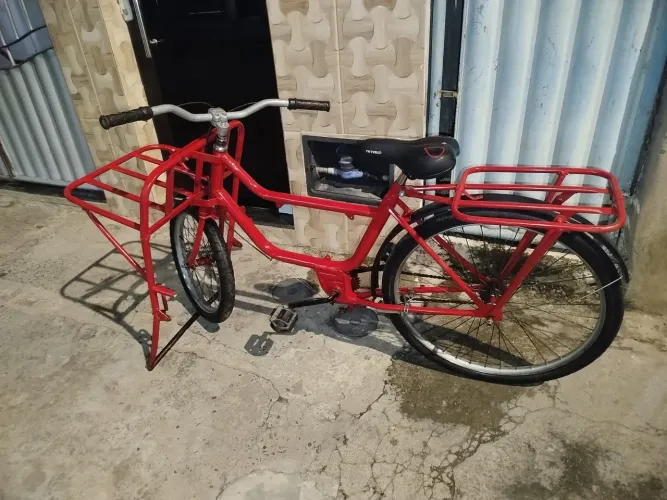Bicicleta Cargueira