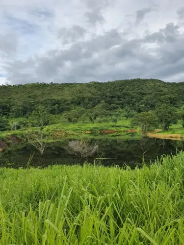 Fazenda pra Gado 55 Alqueires - Região Lua Nova em Faina - GO