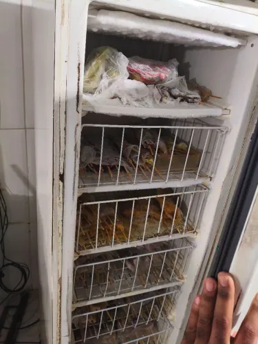 Freezer Vertical Prosdócimo 