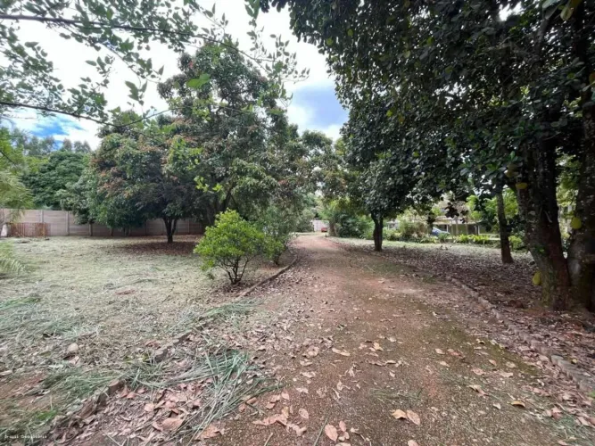 Chácara para Venda em Brasília, Incra 8 (Brazlândia), 2 dormitórios, 1 suíte, 2 banheiros,