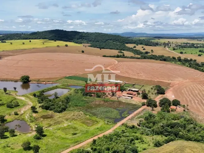 Fazenda 68,8 alqueires (333 hectares) Morrinhos - Go