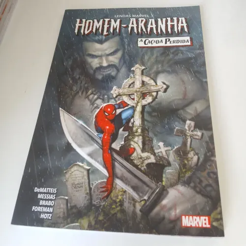 Homem Aranha - A caçada perdida