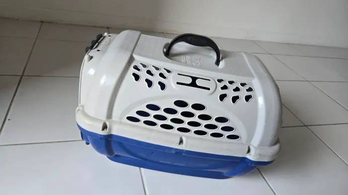 Caixa transporte para cães e gatos