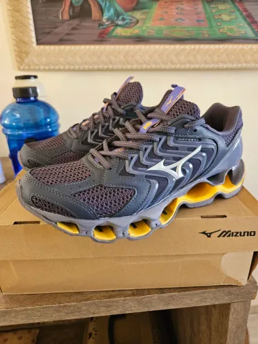 Mizuno wave prophecy 14S