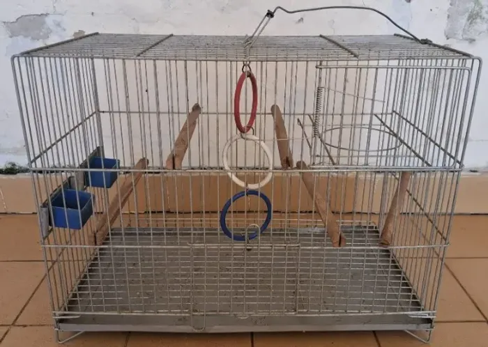 Gaiola para aves ou hamster