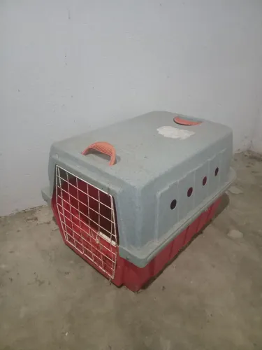 Viajante pra cahorro