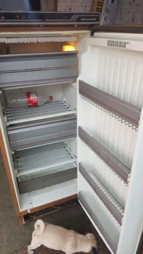 Freezer 220v 