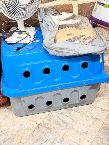 Caixa de transporte para cães - tamanho grande