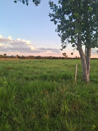 Sitio